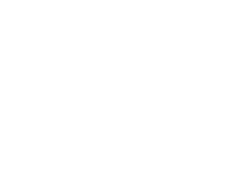 Boh&egrave;mes, tsiganes, nomades en B&eacute;arn et en Pyr&eacute;n&eacute;es Atlantiques