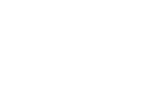 Roms, tsiganes, nomades &ndash; un malentendu europ&eacute;en